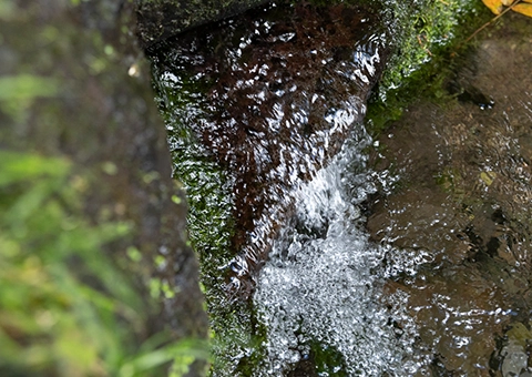 伝統製法と水へのこだわり