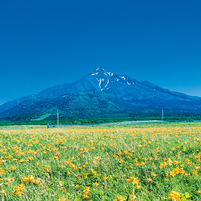 利尻富士町写真01