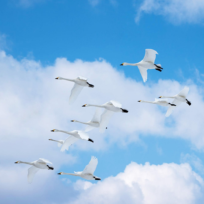 浜頓別町写真01