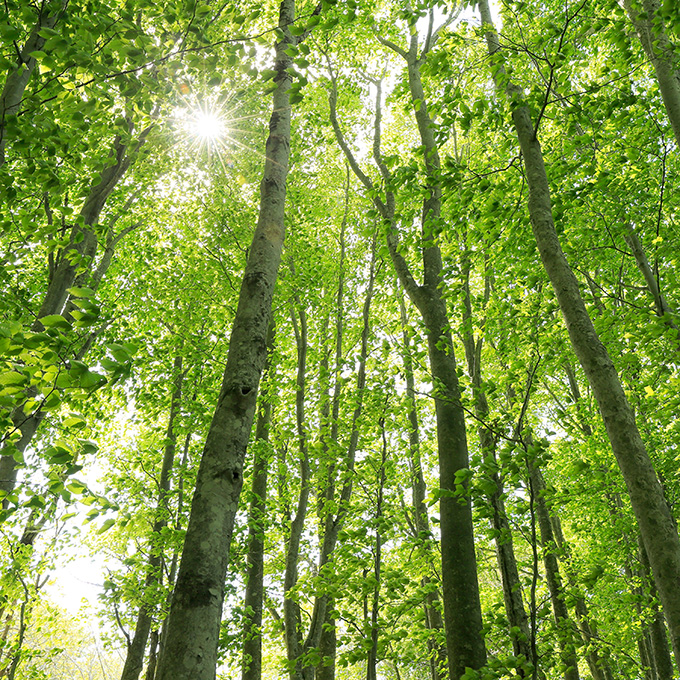 黒松内町写真01