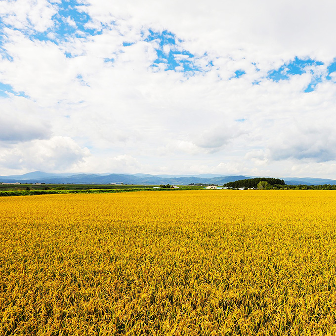 東神楽町写真01