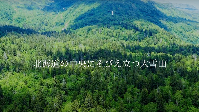 東神楽町｜お米